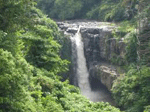 Kintamani and waterfall tour